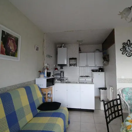 Appartement Royan, 2 Pieces, 6 Personnes - Fr-1-494-24 *